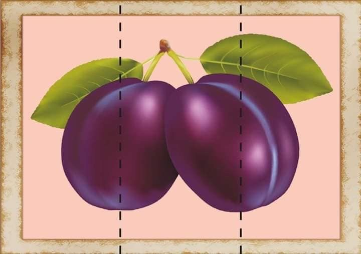 Слива картинка для детей на прозрачном фоне