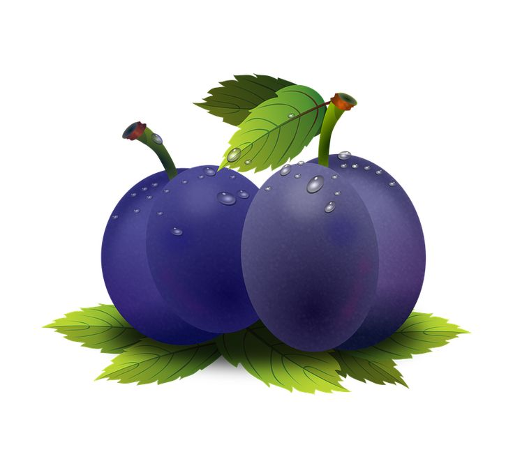 Слива фрукт