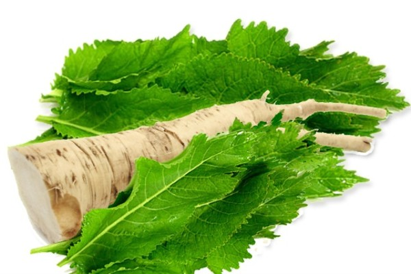 Хрен на прозрачном фоне