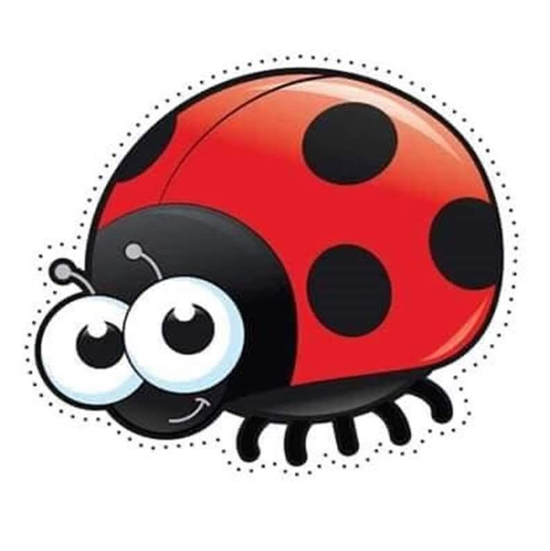 Ladybug Божья коровка