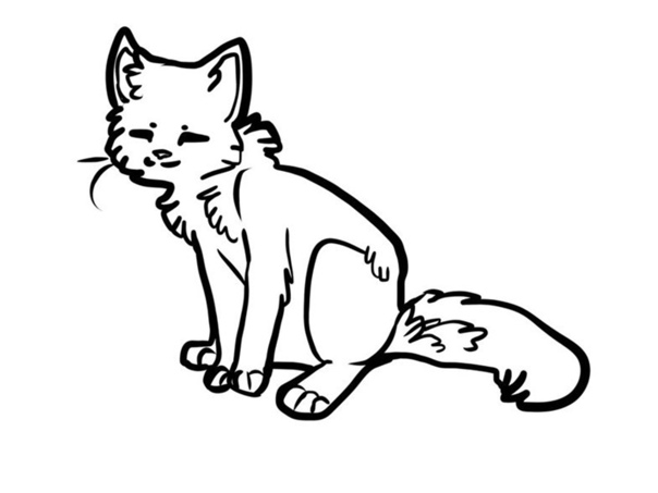 Кошка лайнарт