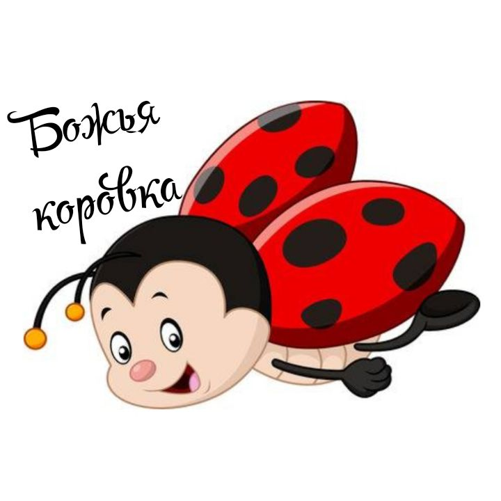 Божья коровка мультяшная