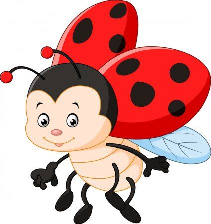 Божьи коровки