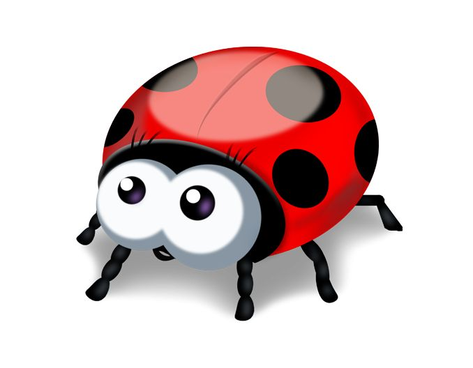 Божья коровка с глазками