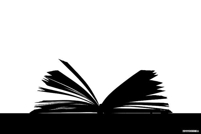 Книга силуэт