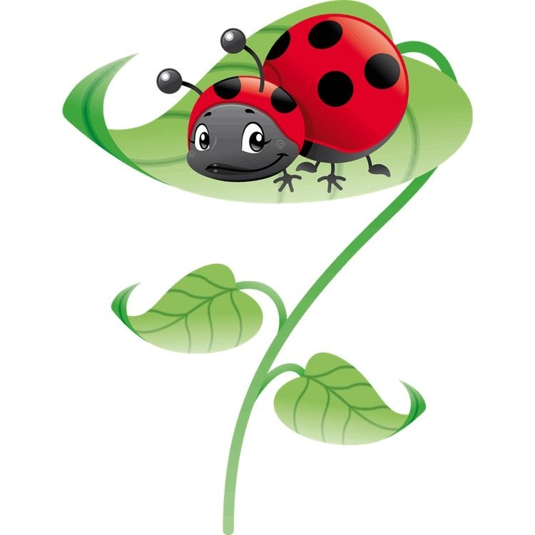 Насекомые для дошкольников Божья коровка