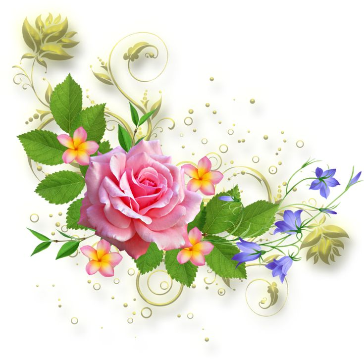 Цветы уголок