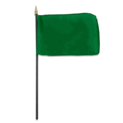 Ребенок с зеленым флажком