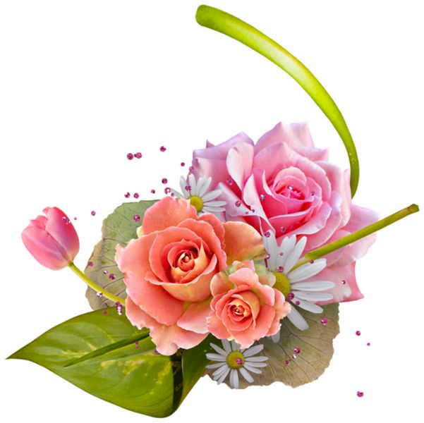 Цветочные композиции на прозрачном фоне
