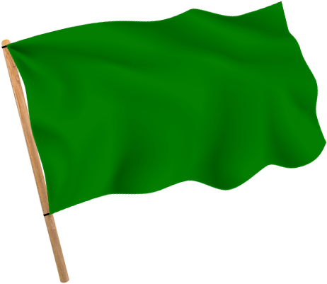 Ребенок с зеленым флажком