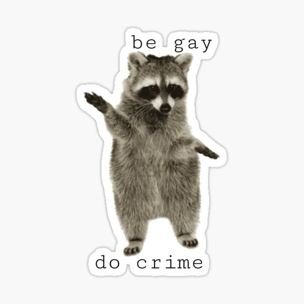 Енот на прозрачном фоне