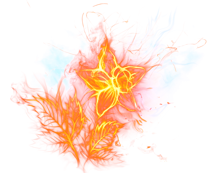 Огненный цветок на прозрачном фоне