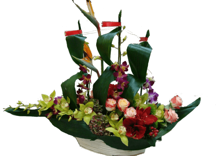 Мужской букет на белом фоне