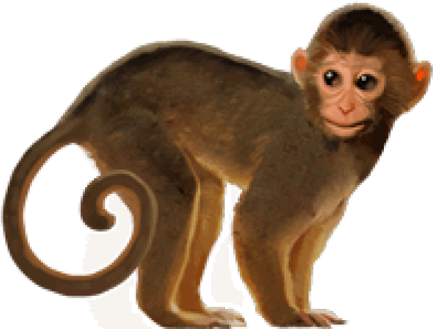 Фон с обезьянками