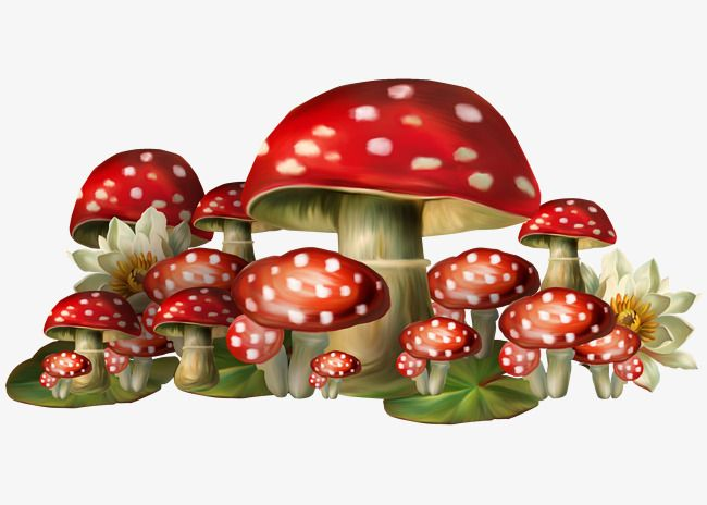 Мухомор для детей
