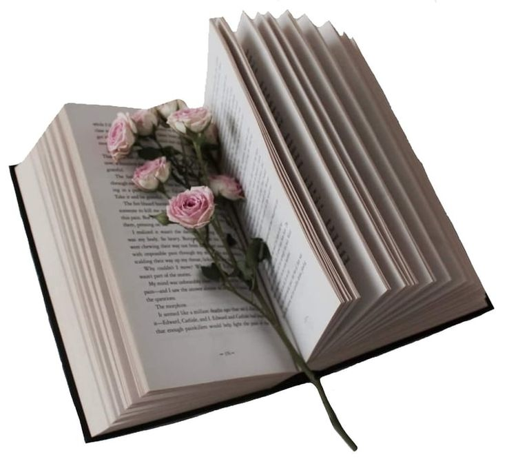 Красивая книга на прозрачном фоне