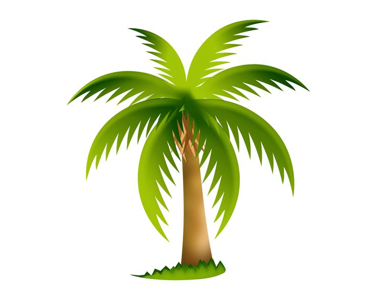 Пальма мульт