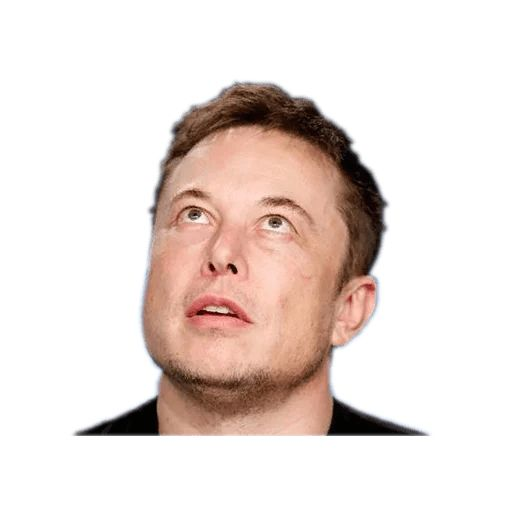 Илон Маск PNG
