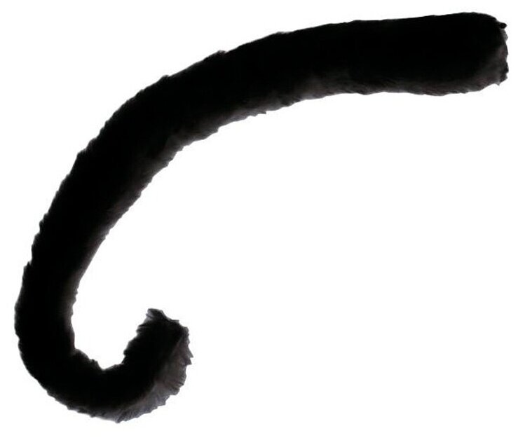 Кот с хвостом