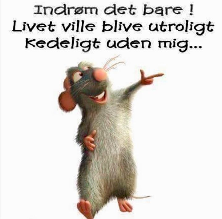 Рататуй без фона