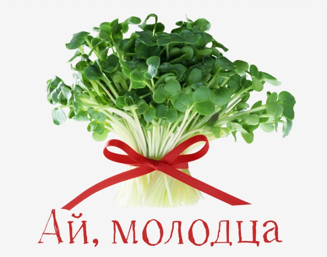 Руккола микрозелень