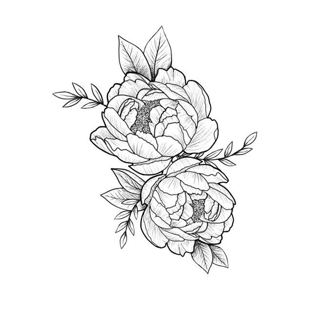 Контур пиона для тату