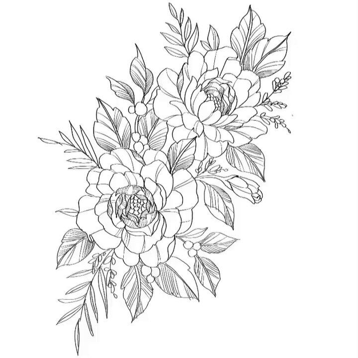 Цветы эскиз