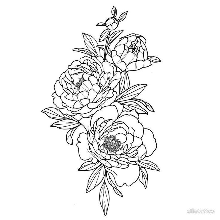 Контур пиона для тату