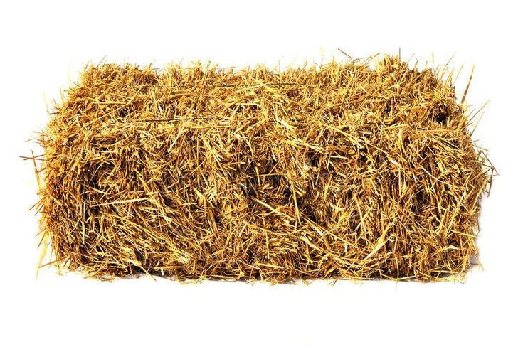 Солома для детей