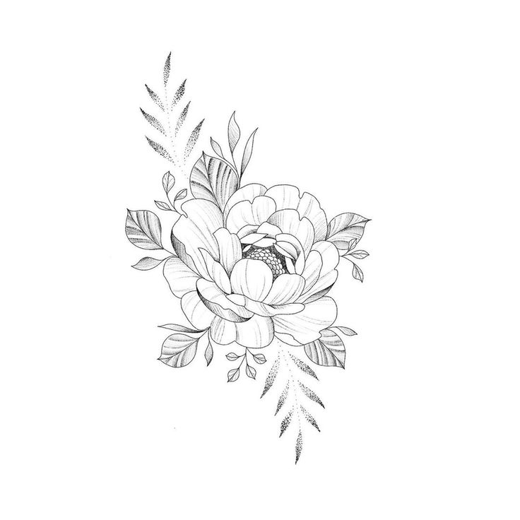 Питон тату эскиз