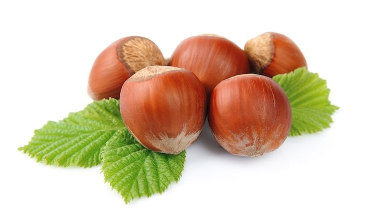 Лесной орех (Hazelnut)