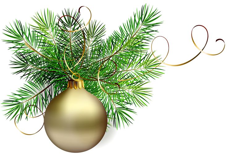 Новогодние еловые ветки