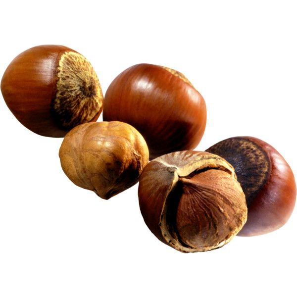 Орехи на прозрачном фоне