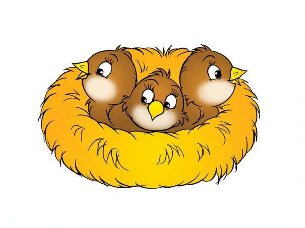 Птенчики в гнездышке