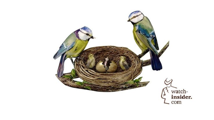 Гнездо у синички на белом фоне