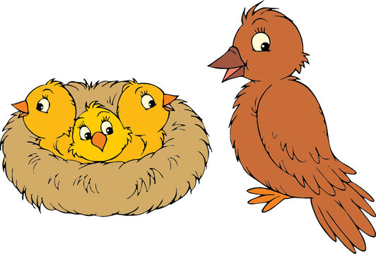 Птенцы в гнезде