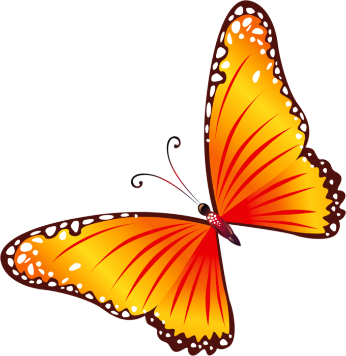 Разноцветные бабочки