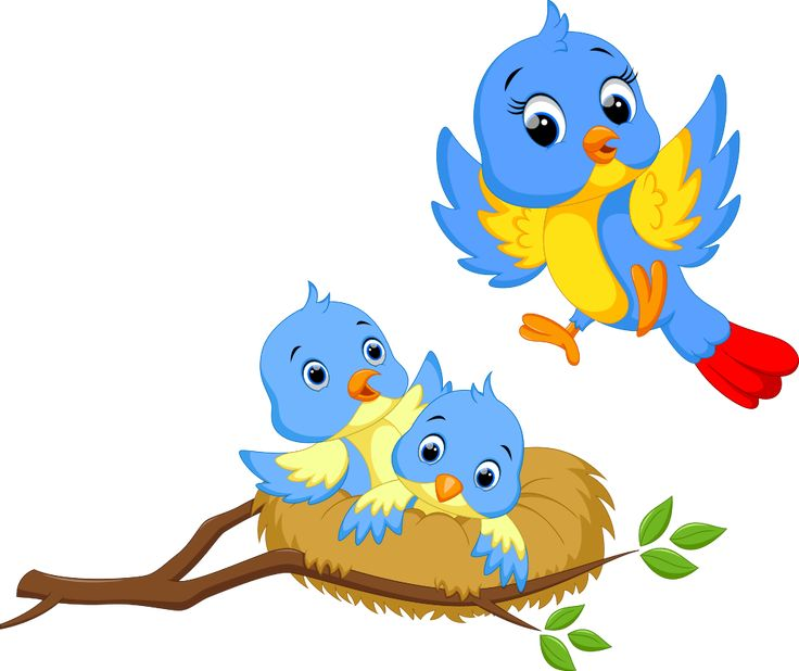 Птицы мультяшные