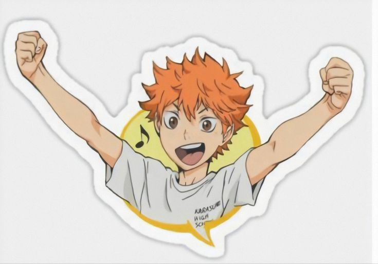 Хината шоё волейбол