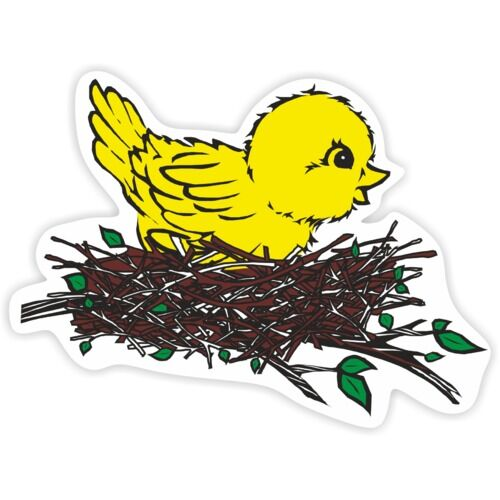 Рисование птицы в гнезде