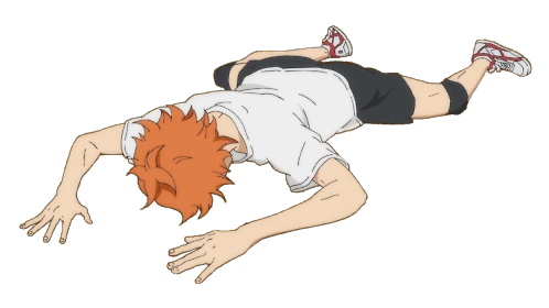 Хината Шое рост