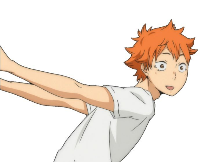 Хината сё рост