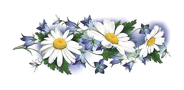 Бордюры с ромашками