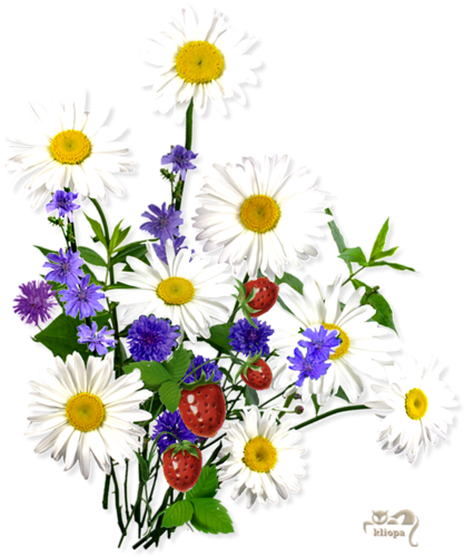 Букет из ромашек и колокольчиков