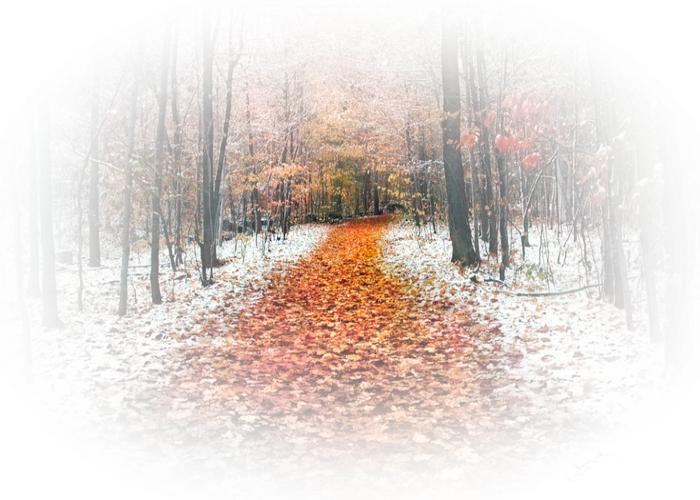 Первый снег