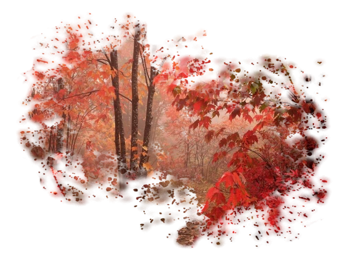 Ноябрь на белом фоне