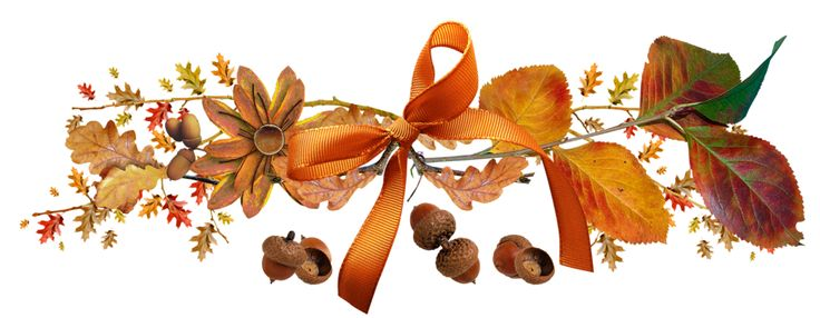 Осенние листья на прозрачном фоне
