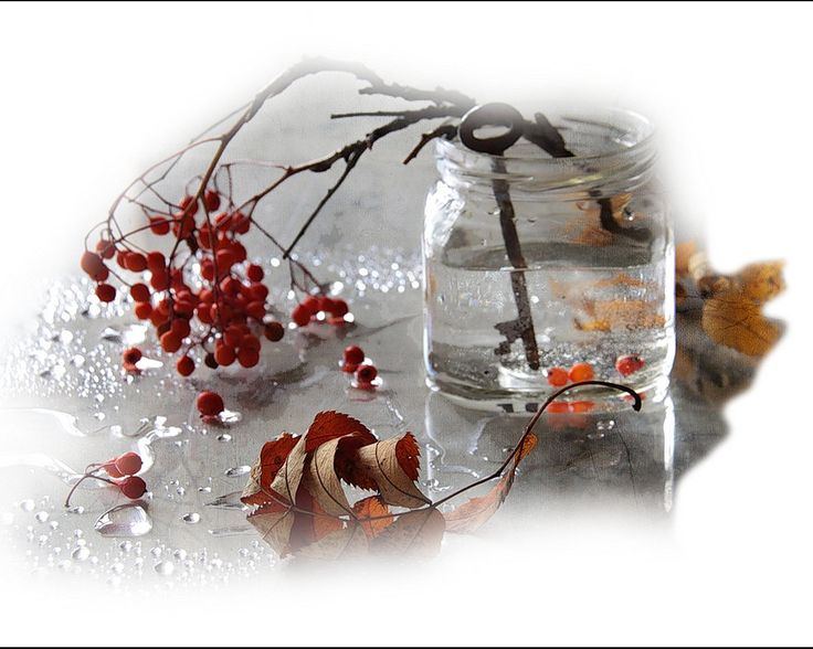 Ноябрь без фона