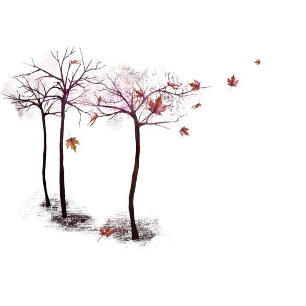 Дерево с опавшими листьями