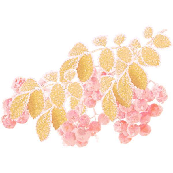 Рябинка фон